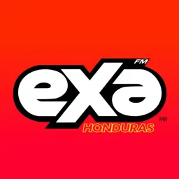 Website preview
